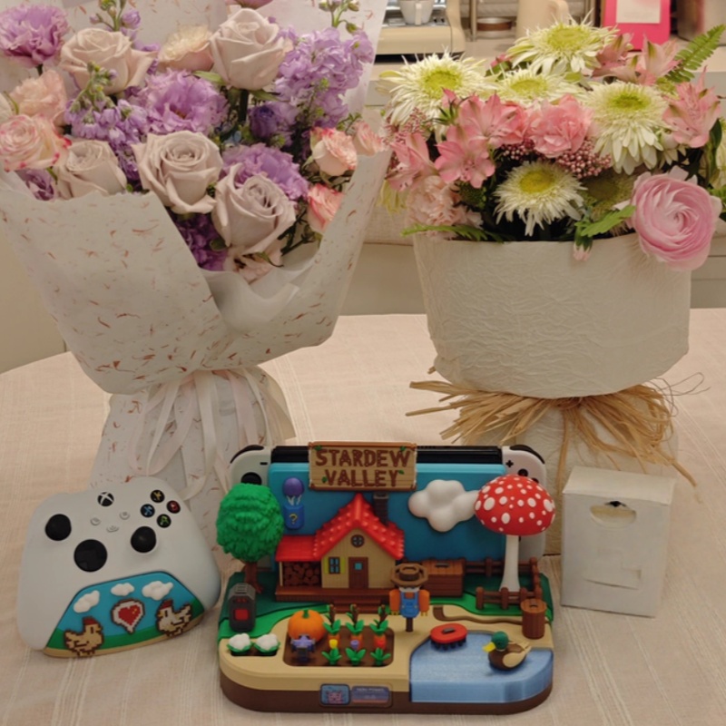 Switch Dock Stardew Valley Far - Gaming Console Free review and price